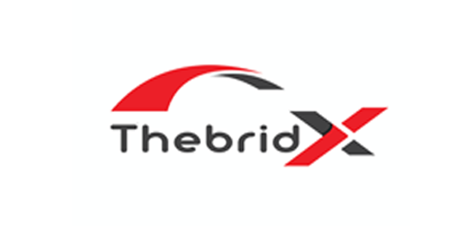 thebridx