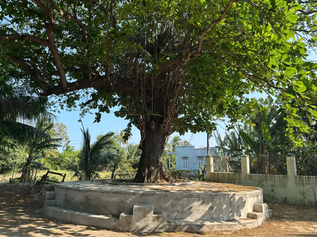 lang-thuoc-nam-an-nhon